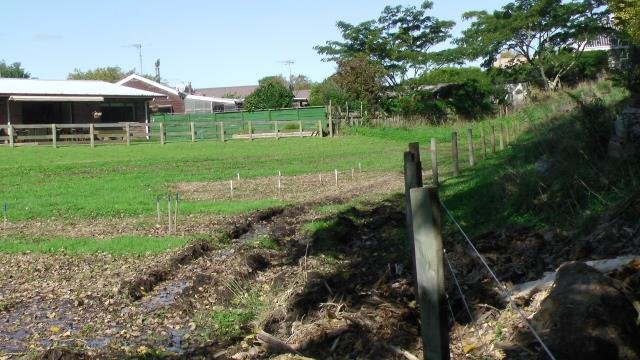 Tyre tracks on the other side of the fence. Cambridge Tree Trust